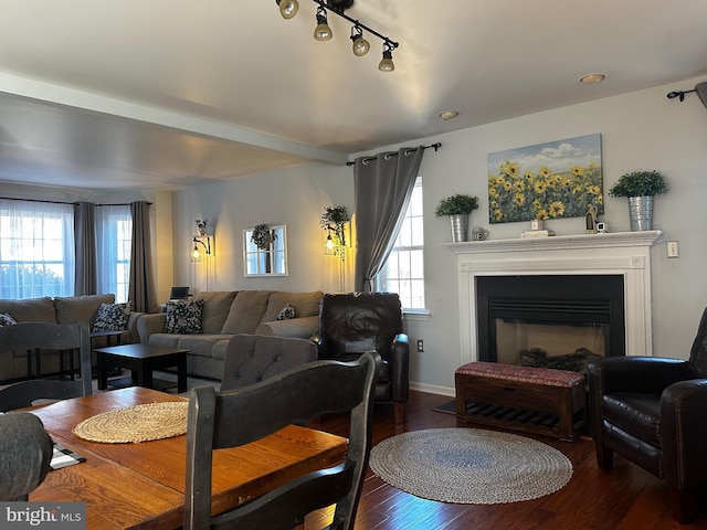 living room with a glass covered fireplace, a healthy amount of sunlight, baseboards, and wood finished floors