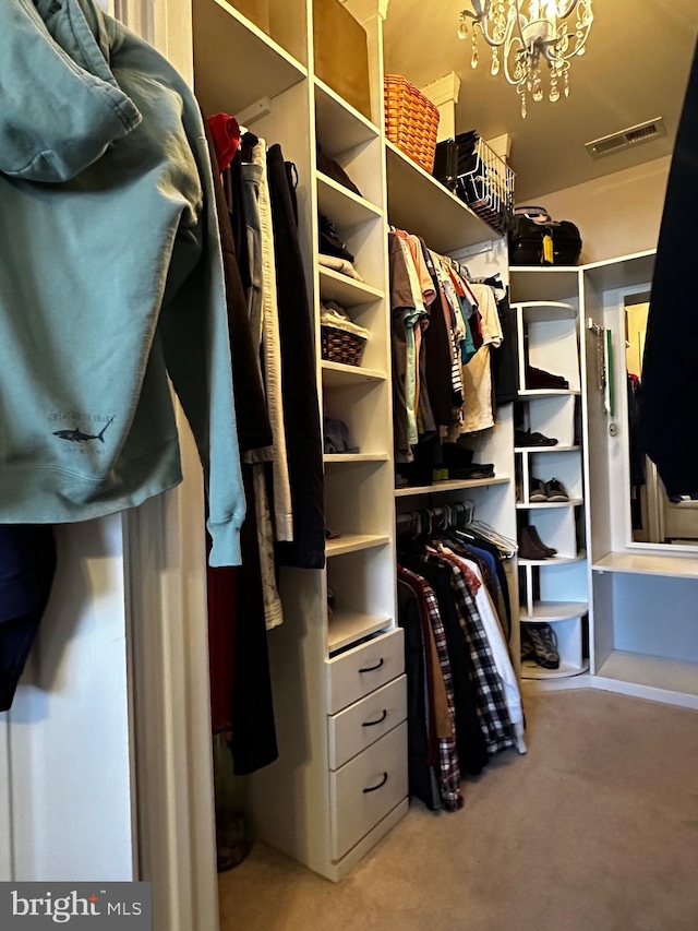 walk in closet with visible vents, carpet, and an inviting chandelier