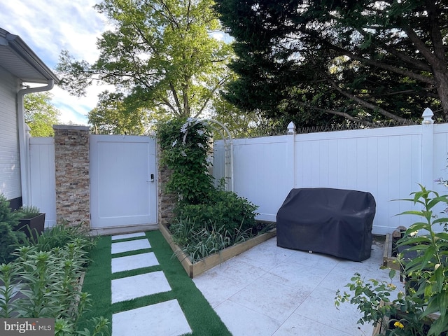 1700 Verbena St NW, Washington, DC 20012 - view of patio with fence and grilling area