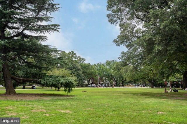 view of home's community with a lawn