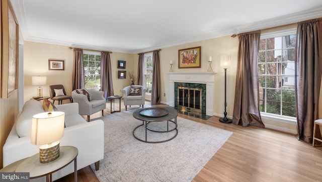 living room featuring light wood finished floors, plenty of natural light, and crown molding