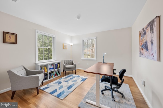 office with baseboards and wood finished floors