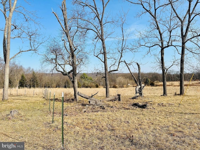 view of yard featuring a rural view