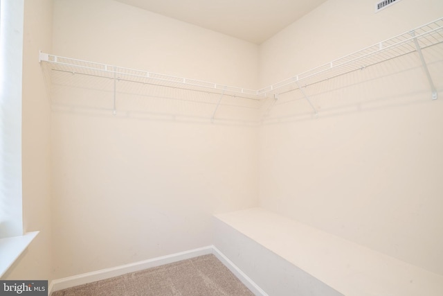 spacious closet featuring carpet floors