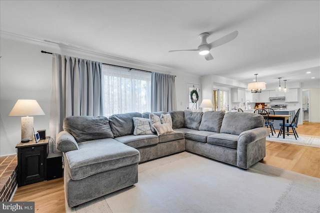 living room featuring ceiling fan with notable chandelier, light wood-type flooring, and ornamental molding