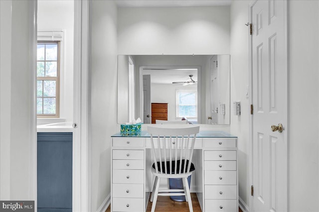 bathroom with vanity and wood finished floors