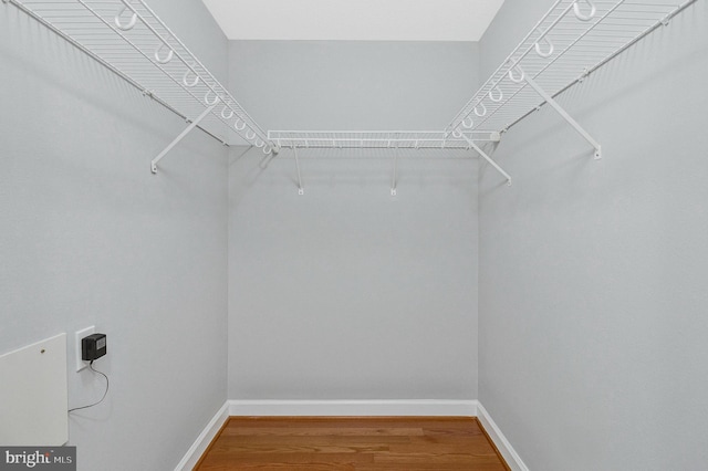 walk in closet featuring wood finished floors