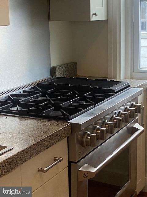 details with stainless steel stove and white cabinets