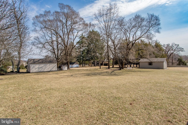 view of yard featuring an outdoor structure and a shed