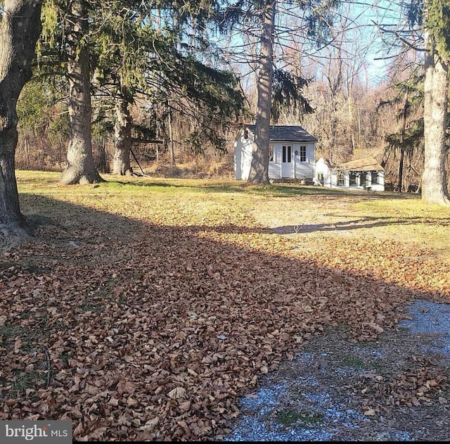 view of yard featuring a view of trees