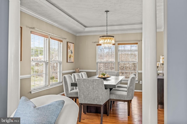 dining room with plenty of natural light, a notable chandelier, wood finished floors, and crown molding