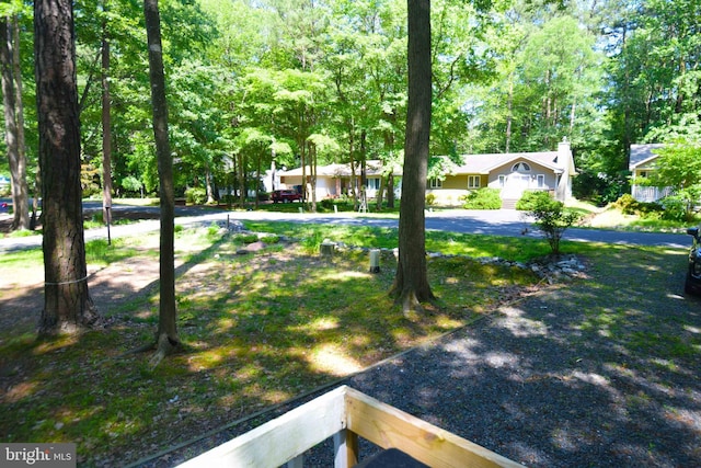 view of yard with driveway