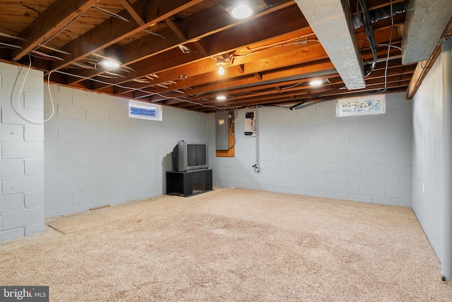 below grade area featuring electric panel and carpet flooring