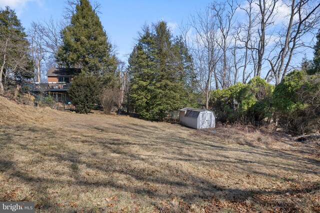 view of yard featuring an outbuilding and a storage unit