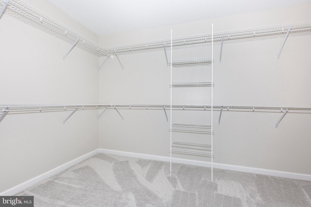 walk in closet featuring carpet floors