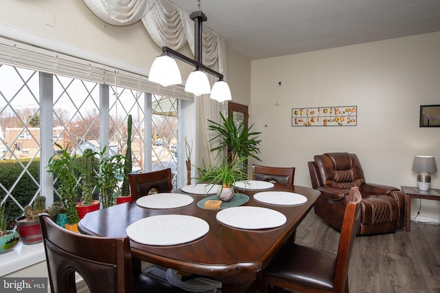 dining area with plenty of natural light and wood finished floors