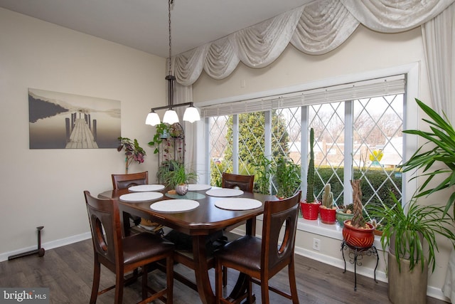 dining room featuring plenty of natural light, baseboards, and wood finished floors