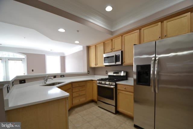 kitchen featuring crown molding, light brown cabinets, appliances with stainless steel finishes, and a sink