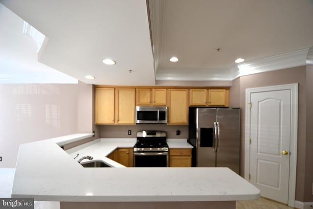 kitchen with appliances with stainless steel finishes, crown molding, a peninsula, and a sink