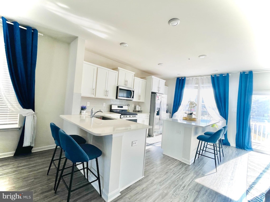 kitchen featuring a sink, stainless steel appliances, a breakfast bar, and wood finished floors