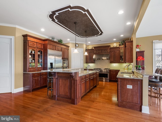 kitchen featuring a breakfast bar, premium appliances, under cabinet range hood, and a sink