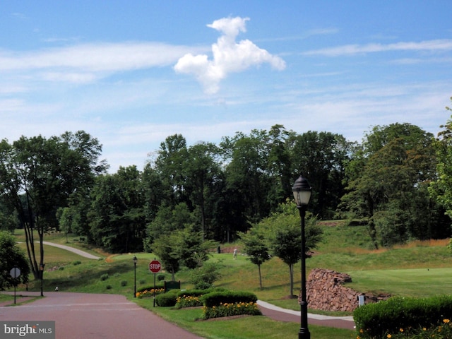 view of community with a lawn