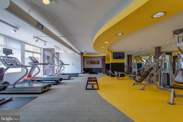 workout area featuring track lighting and carpet