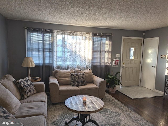 living area with wood finished floors and a textured ceiling