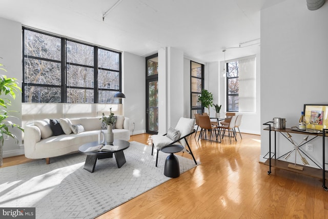 living room featuring rail lighting, wood finished floors, and baseboards