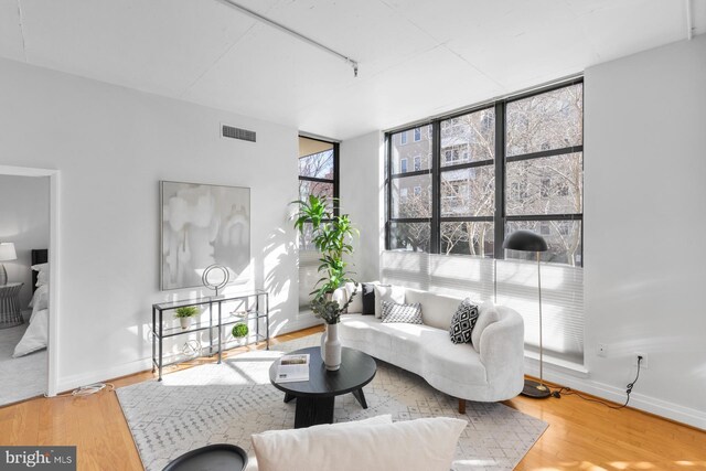 living area featuring visible vents, wood finished floors, rail lighting, a wall of windows, and baseboards