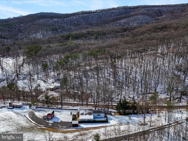 view of mountain feature with a view of trees