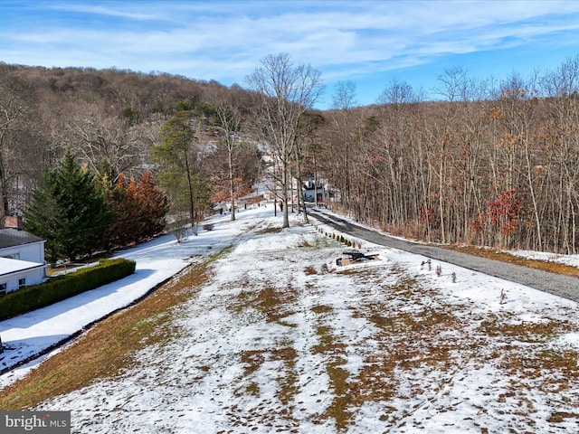 view of road with a view of trees