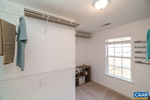 spacious closet featuring visible vents and carpet floors