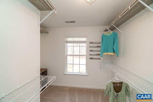 walk in closet featuring visible vents and carpet flooring