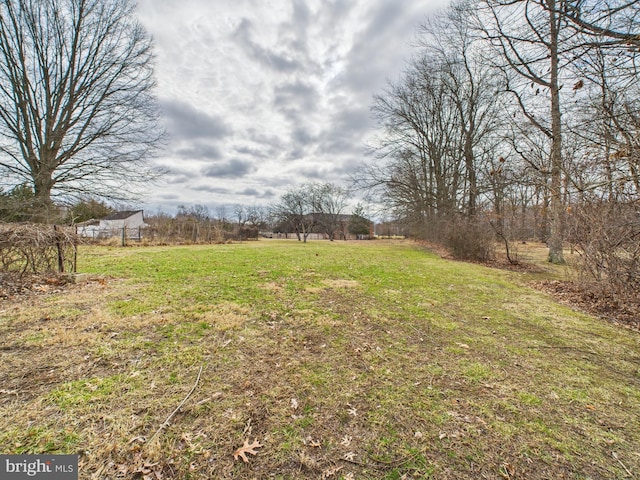 view of yard featuring a rural view