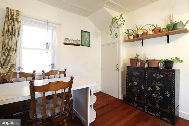 dining space featuring wood finished floors