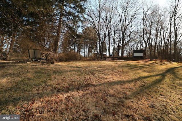 view of yard with an outbuilding