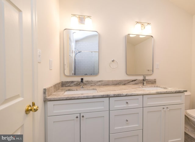 full bathroom featuring double vanity, toilet, and a sink