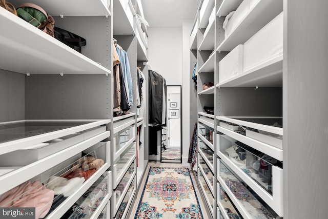 view of spacious closet