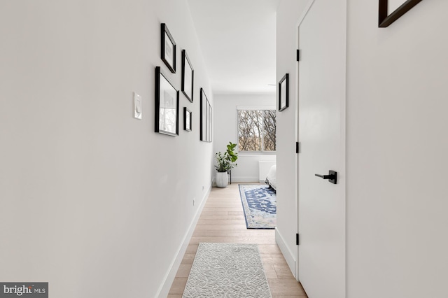 hall featuring light wood-style flooring and baseboards