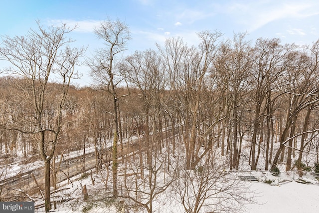 view of local wilderness