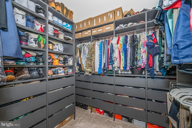 walk in closet with carpet