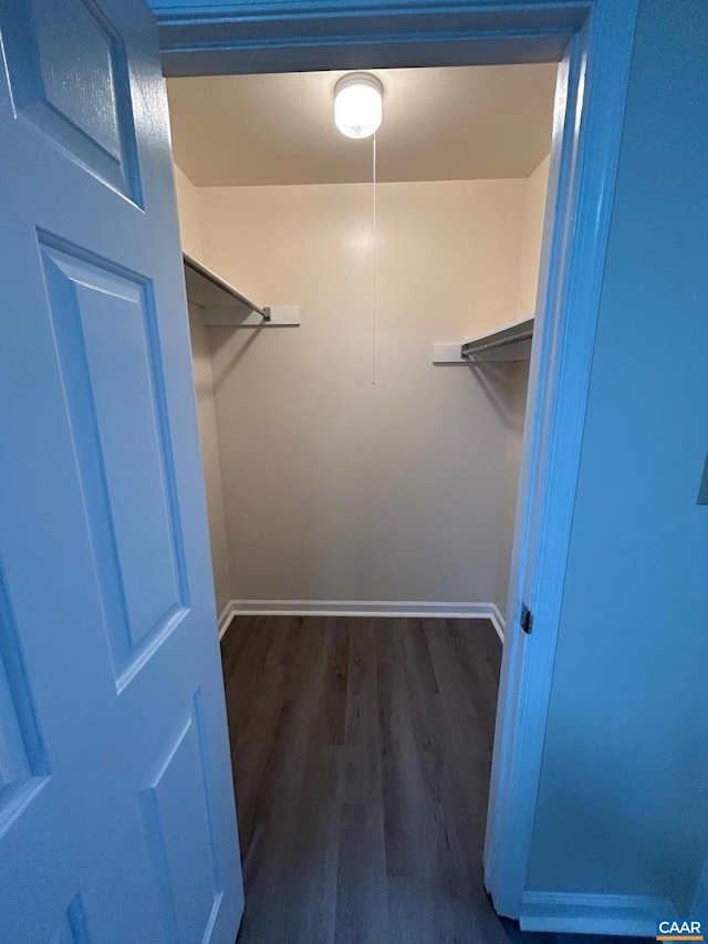 spacious closet with wood finished floors