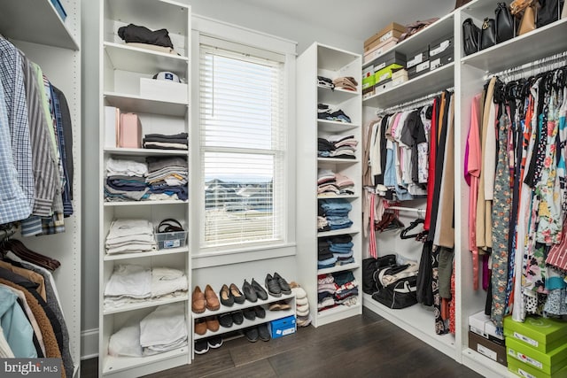 286 Claremont Ave, Harrisonburg, VA 22801 - spacious closet featuring dark wood-style floors
