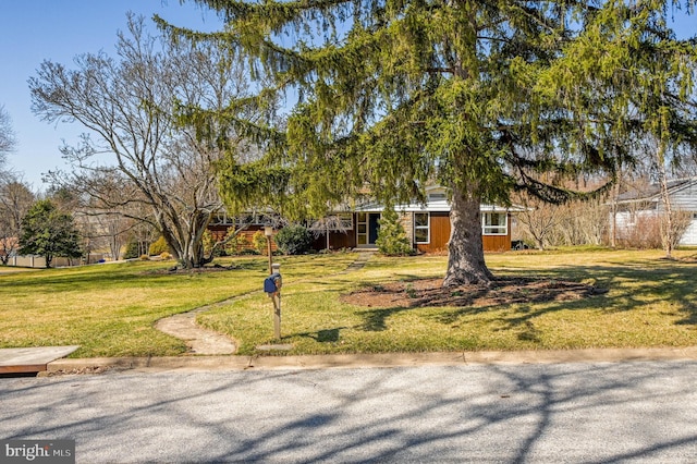 obstructed view of property with a front lawn