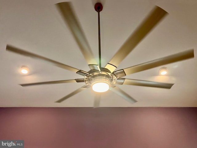 details with a ceiling fan