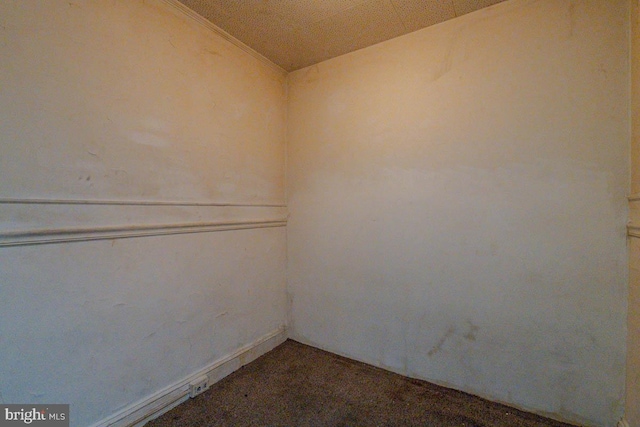 unfurnished room with carpet flooring