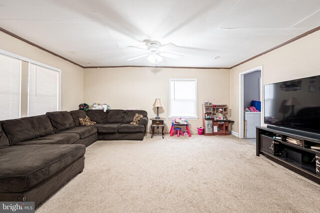 123 S 9th St, Millville, NJ 08332 - living area with carpet flooring, ceiling fan, and crown molding