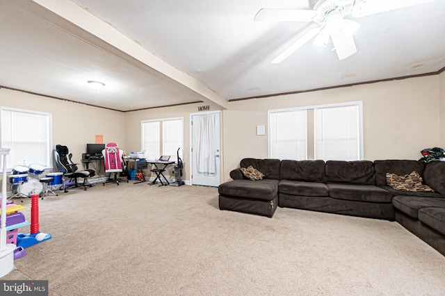 123 S 9th St, Millville, NJ 08332 - living area featuring a wealth of natural light, carpet flooring, a ceiling fan, and ornamental molding