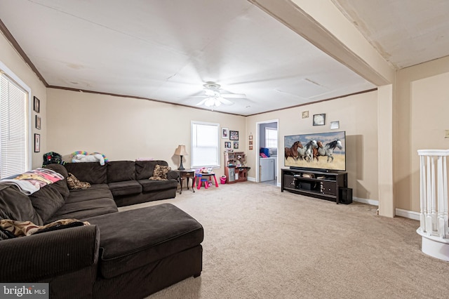 123 S 9th St, Millville, NJ 08332 - carpeted living area with baseboards, crown molding, and ceiling fan